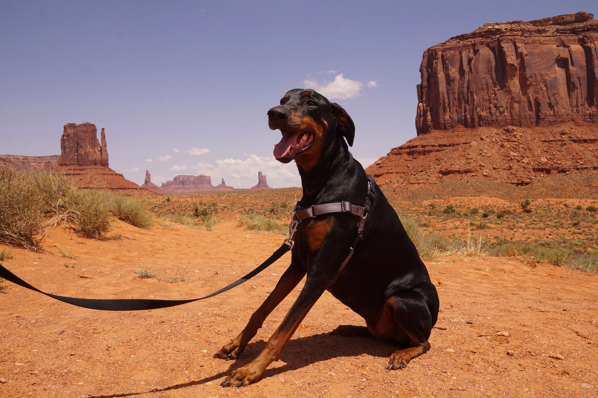 Molly and Monument Valley
